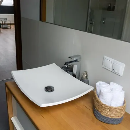 Loft W Centrum Gliwic Apartament Gliwice