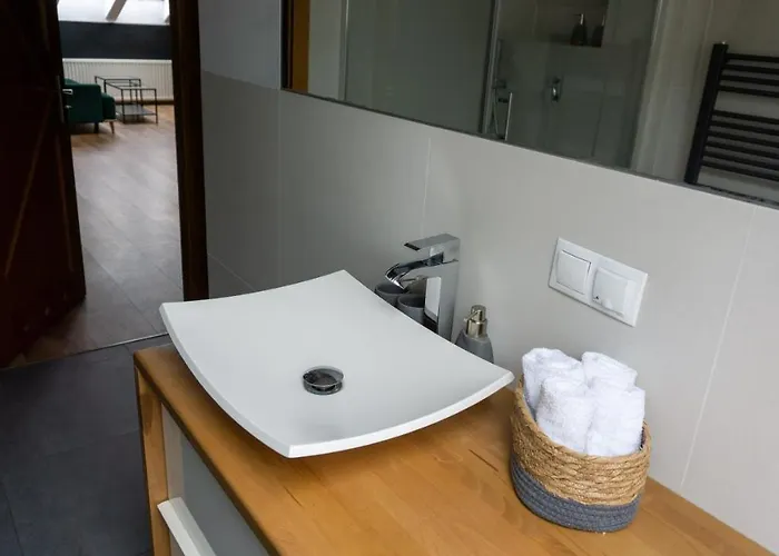 Loft W Centrum Gliwic Διαμέρισμα Γκλίβιτσε